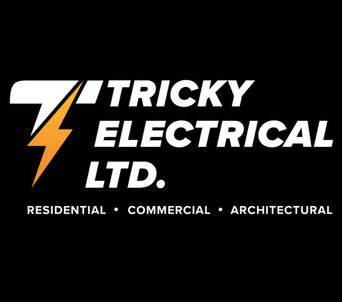 Tricky Electrical professional logo