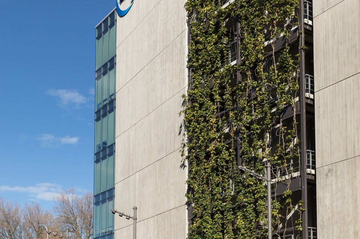 Fonterra - foliage growing wires and planter boxes 