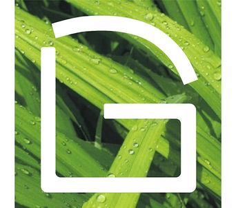 Design + Garden Landscapes professional logo