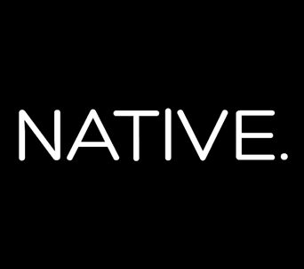 NATIVE Design Workshop professional logo