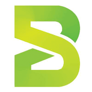 Build Style Developments company logo