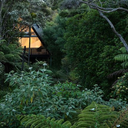Island life: four of the best modern Kiwi beach houses