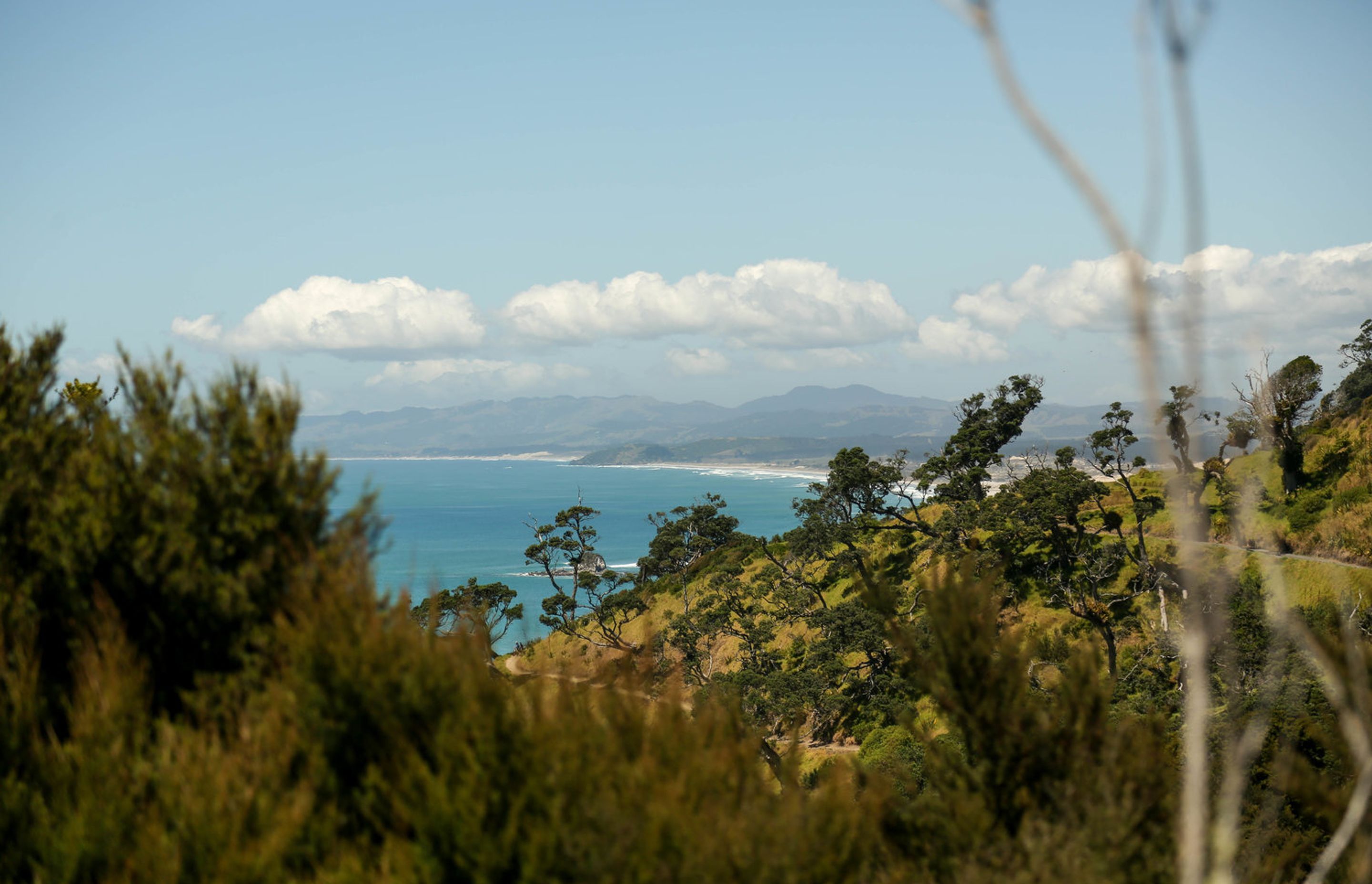 The view of Mangawhai from the top of the hill on the property.