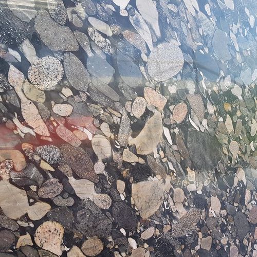 Giallo Marinace - Natural Granite - Mid Range
