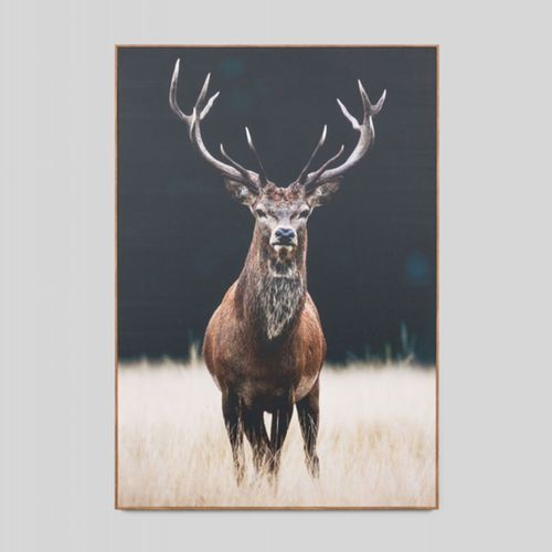 Photographic Framed Meadow Deer Canvas Print