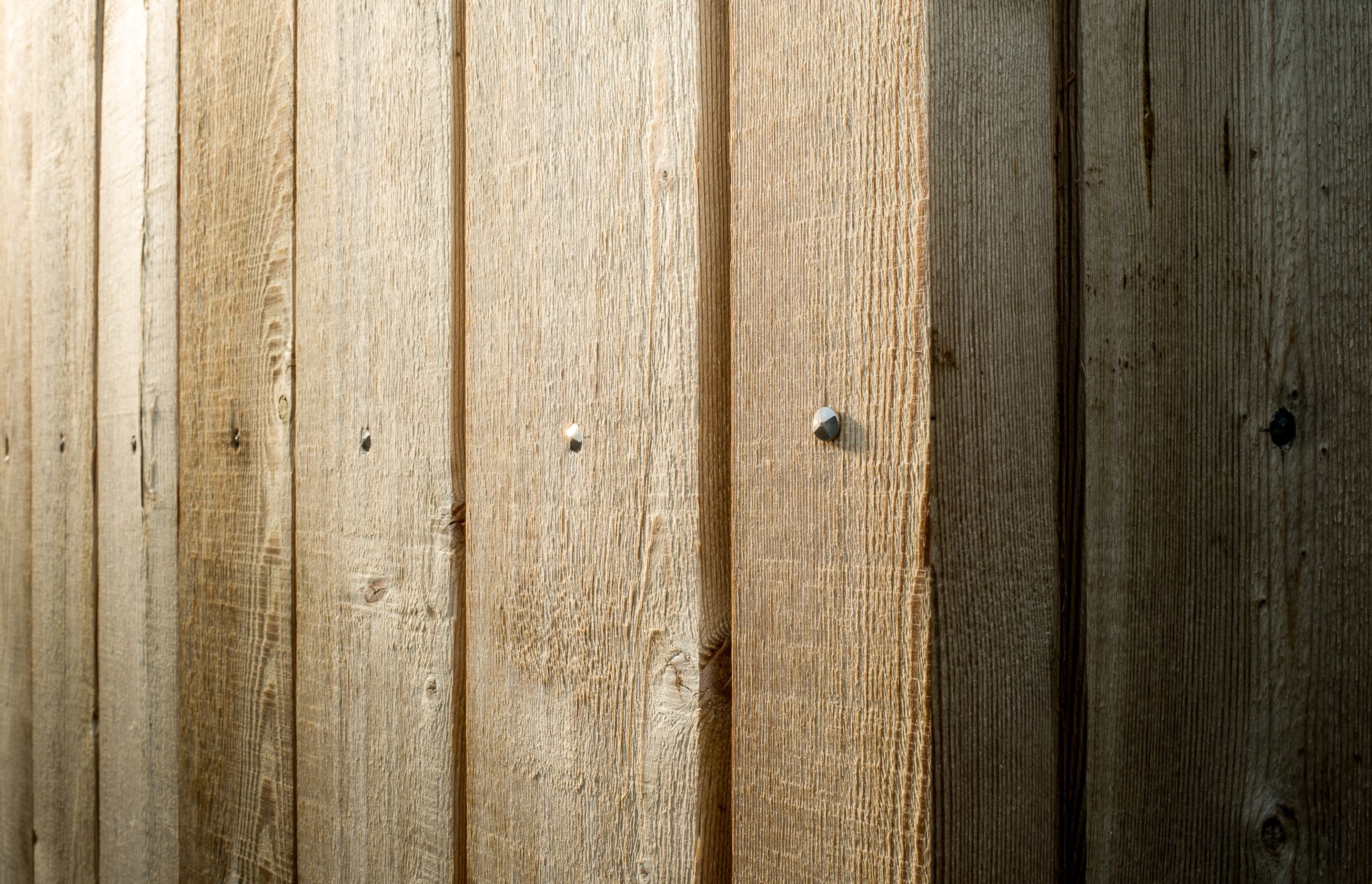 Siberian Larch cladding is fixed with battered nails, in reference to the rural shed aesthetic.