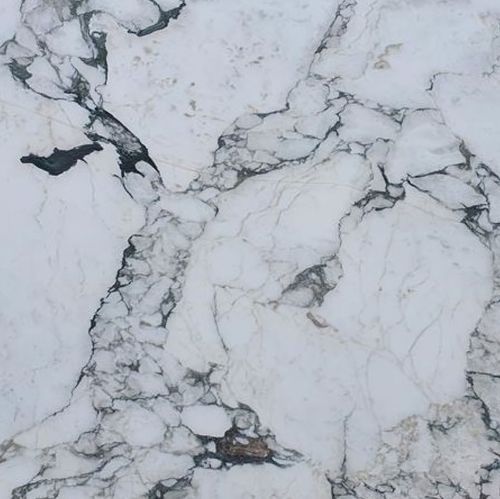 Calacatta Monet - Platinum Marble