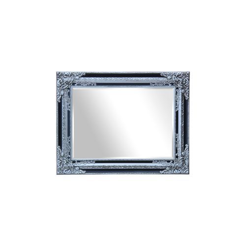 F22 Grenoble Mirror