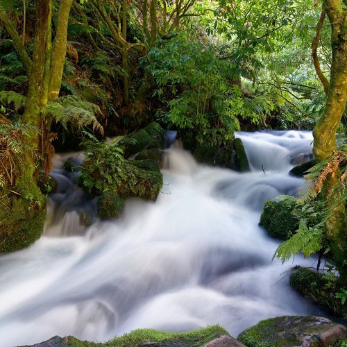 Aotearoa Waterfall 1