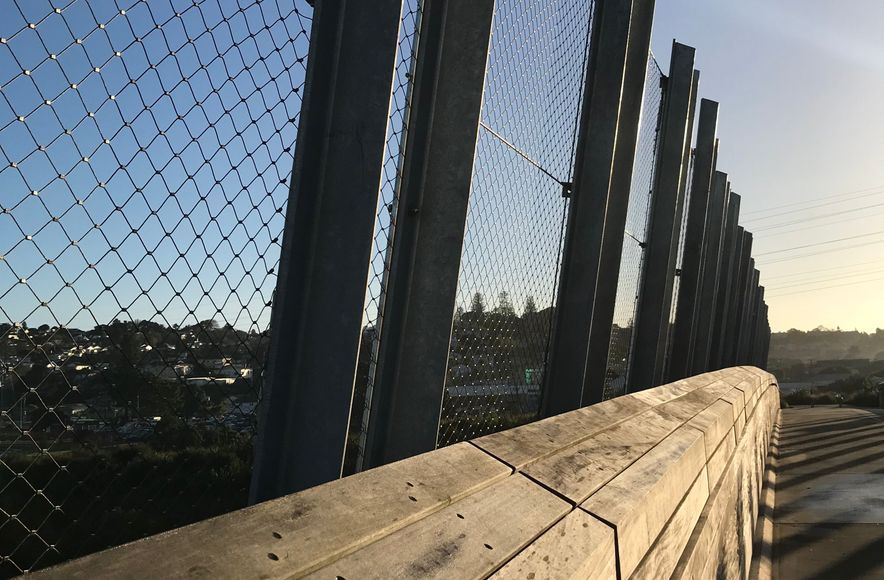 Taumanu Reserve Bridge - anti-throw mesh screens
