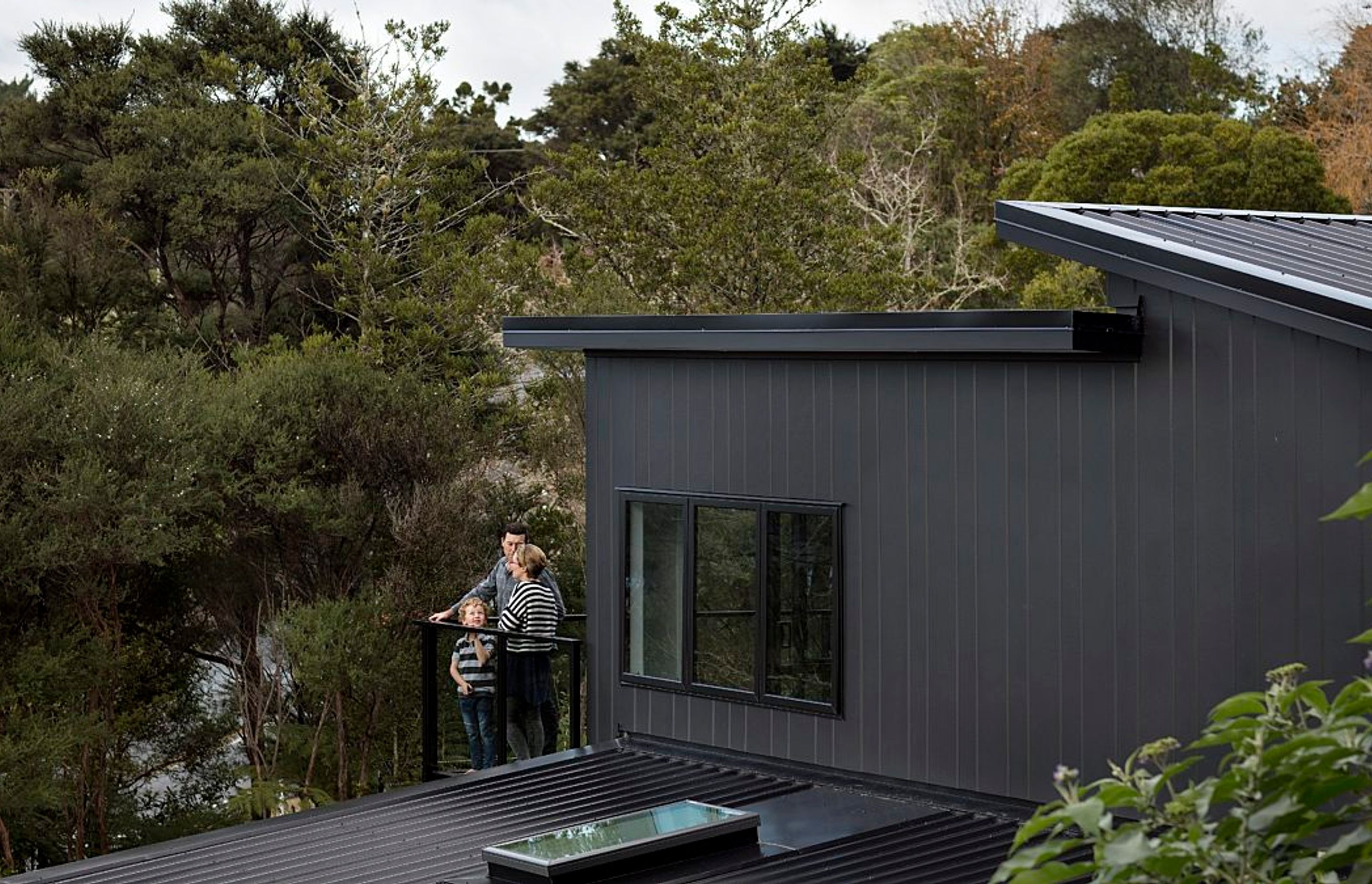 The Modern Look of the Darker Colours, Titirangi