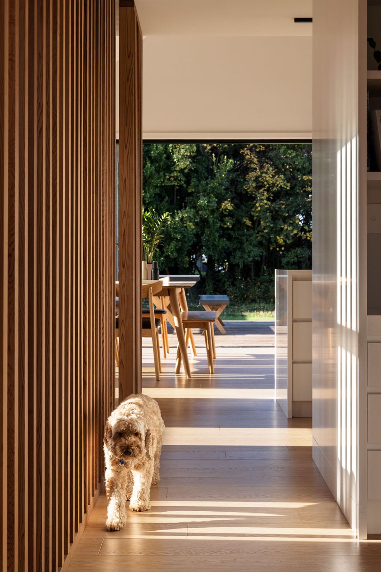 Open sight lines create a sense of seamlessness between the internal and external spaces.