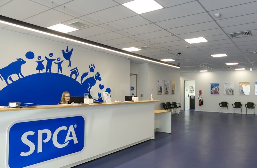 SPCA & Doggy Daycare Hobsonville