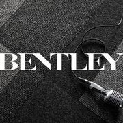 Bentley Mills Carpet gallery detail image