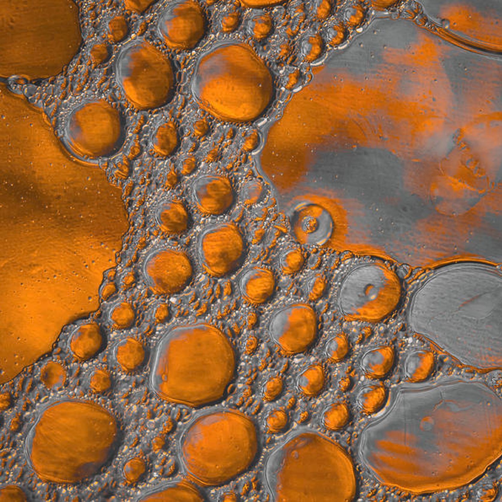 Copper Anti-microbial Benefits gallery detail image