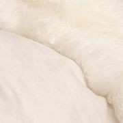 Sheepskin Beanbag Cover Only - Ivory gallery detail image