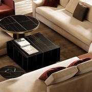 Adone Coffee Table gallery detail image