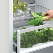 Fisher & Paykel Integrated Refrigerator Freezer 303L gallery detail image