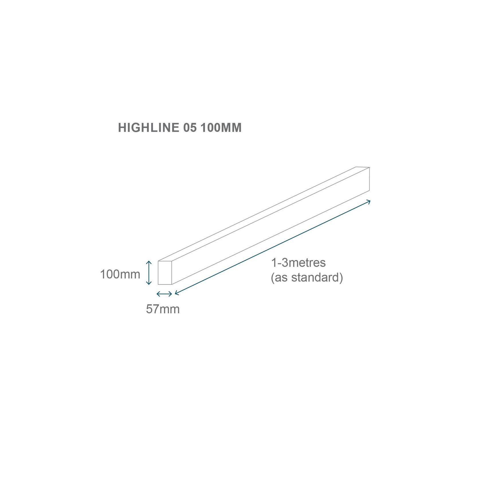 Highline 05 | 100mm Luminaire Light gallery detail image
