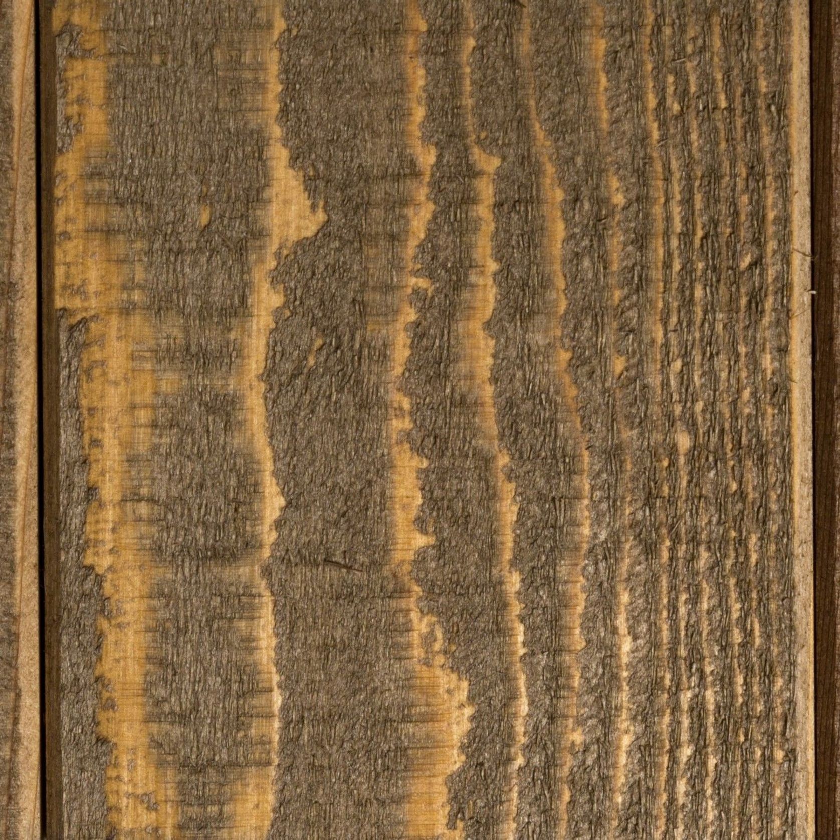 Wood-X Exterior Wood Oil | Tasman gallery detail image