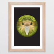Kakapo Art Print gallery detail image
