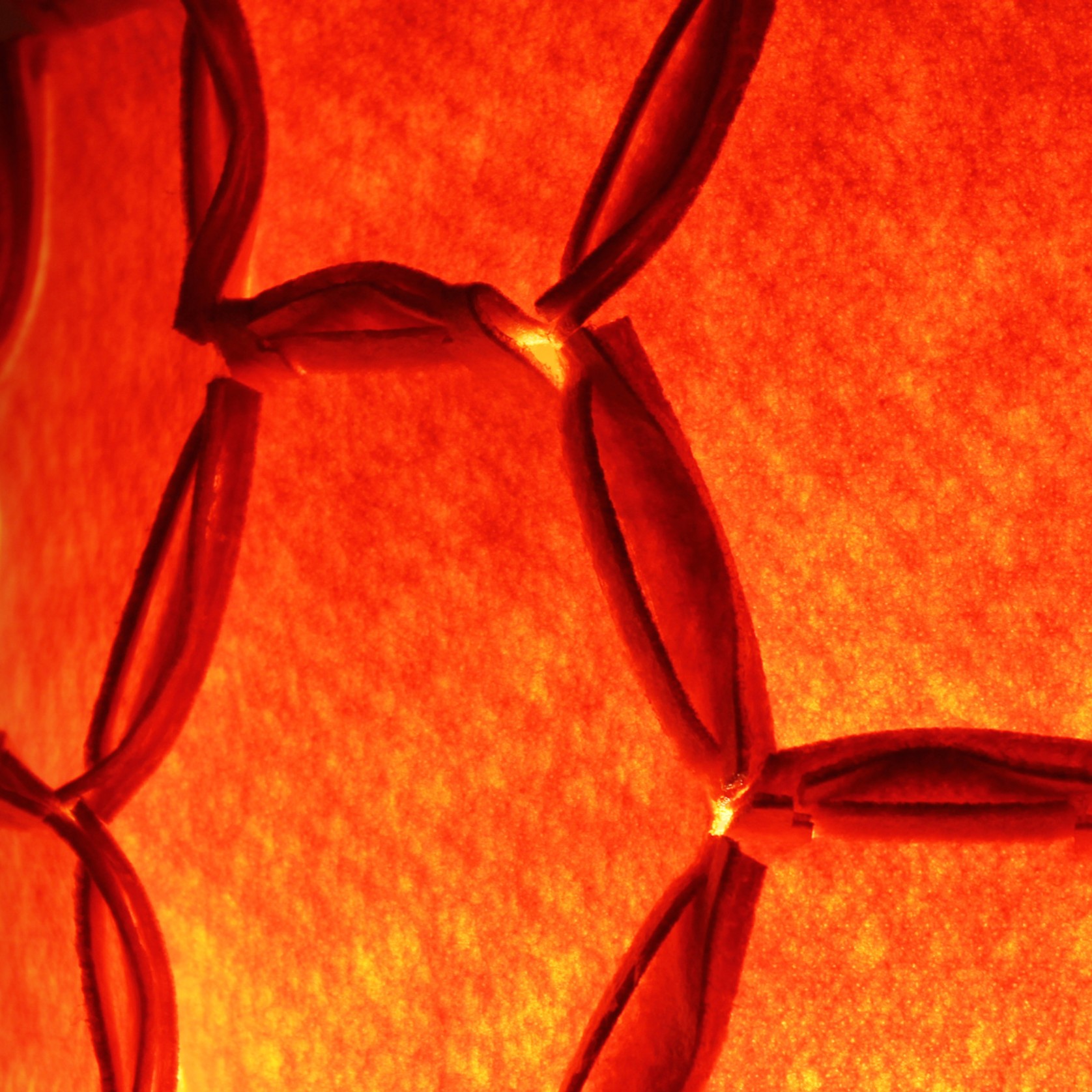 Nectar Lights gallery detail image