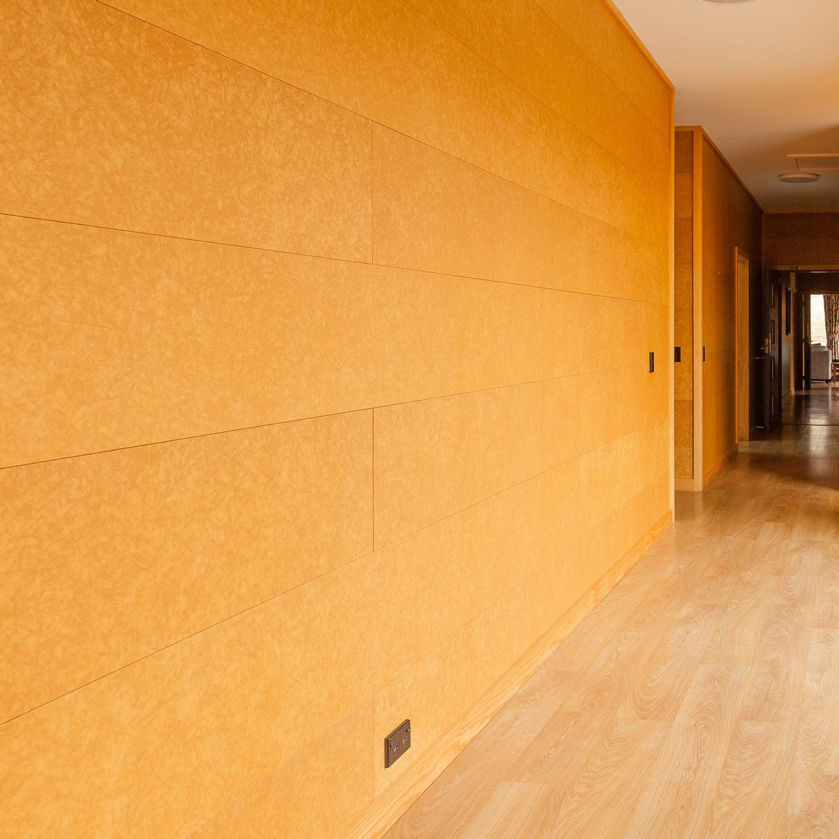 Triboard TGV | Wall & Ceiling Lining gallery detail image