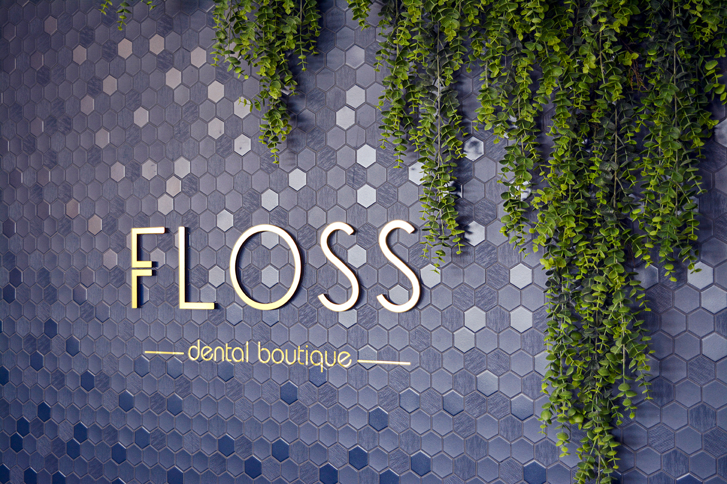 Floss Dental by Buchan ArchiPro NZ