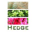 Hedge Garden Design & Nursery