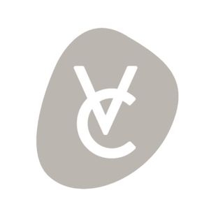 Vue Concepts
