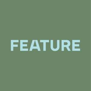 Feature Landscapes
