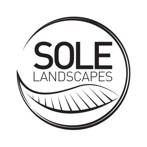 Sole Landscapes