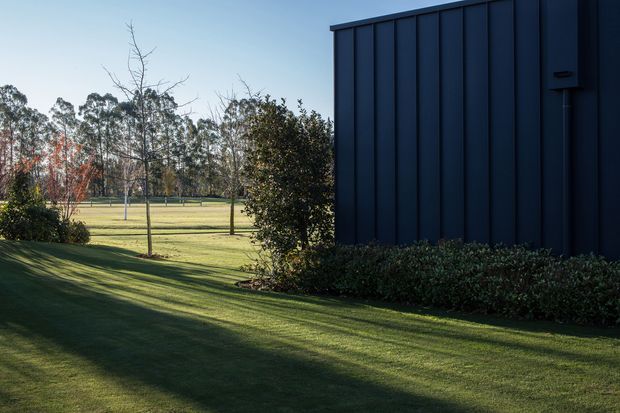 A landscaped exterior view showing a dark blue-black vertically panelled building wall at right, bordered by low shrubs and a broad, neatly maintained lawn. Young deciduous trees and taller trees appear in the open grounds beyond, with long afternoon shadows across the grass.