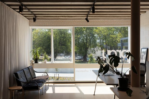 A bright, compact modern living and workspace interior with floor-to-ceiling windows overlooking leafy surroundings. The room features a black leather lounge, a long built-in desk or bench, indoor plants, pale timber flooring, white curtains, and an exposed timber batten ceiling with black track lighting. A prominent structural column frames the right side of the space.