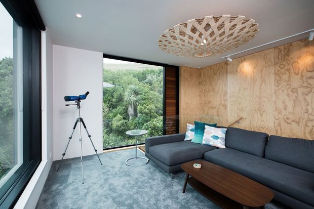 A contemporary living room with expansive floor-to-ceiling glazing overlooking dense greenery. The room features a dark charcoal sectional sofa, low rounded timber coffee table, blue-grey carpet, a full-height plywood feature wall, recessed ceiling lights, track lighting, and a sculptural timber pendant light. A telescope sits near the window, and a small side table occupies the glazed corner.