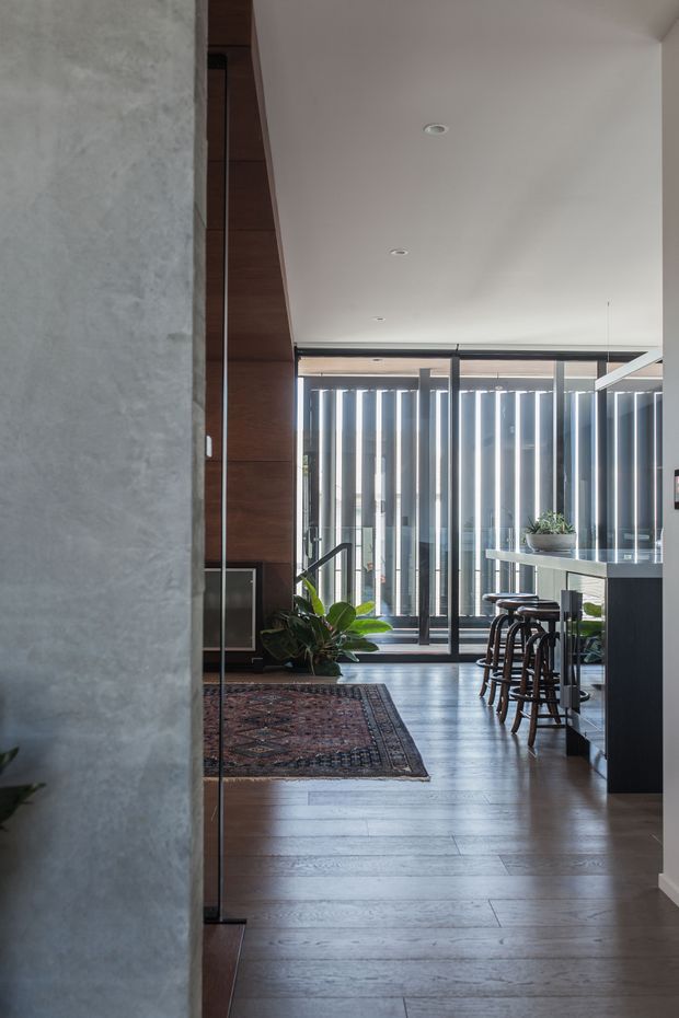 A contemporary open-plan interior viewed from a hallway or entry, with dark timber flooring, a textured grey feature wall, warm timber wall panelling, and a sleek kitchen island with bar stools. Full-height glazing and vertical exterior screening bring in filtered daylight, while indoor plants and a patterned rug add warmth.