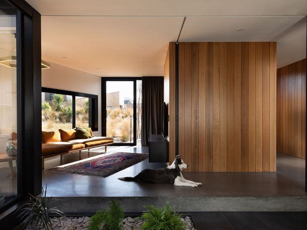 Contemporary open-plan living space with a low tan sofa beside full-height black-framed glazing, a patterned rug, and a large vertical timber wall and concealed storage volume. Polished dark concrete flooring, warm wood panelling, and strong indoor-outdoor connection create a refined, modern interior. A dog is resting on the floor, with landscaped planting visible beyond the glazing.