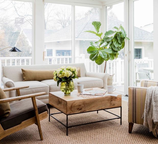 Bright, airy living room furnished with a neutral upholstered sofa, mid-century-style timber lounge chairs, a substantial rustic timber coffee table with black metal legs, and a striped armchair. Floor-to-ceiling corner glazing opens to a balcony or veranda, with a large indoor fiddle-leaf fig adding greenery. The space has a warm neutral palette and abundant natural light.