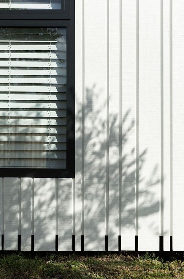 Close-up exterior detail of a contemporary building facade, featuring vertically ribbed white cladding or paneling, a black-framed window with horizontal venetian blinds, and strong foliage shadows cast across the wall. A narrow strip of grass is visible at the base.