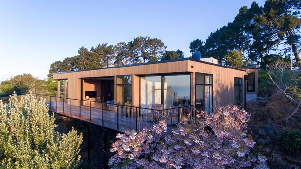 Exterior view of a compact contemporary single-storey home set among mature trees and elevated vegetation. The building has warm timber-toned vertical cladding, a low flat roof, extensive floor-to-ceiling glazing, and a broad raised deck with slim dark metal balustrades.