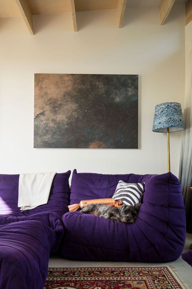 A cozy living room corner featuring a deep purple modular sectional sofa, patterned cushions, a small dog, a richly patterned rug, a floral blue floor lamp, and a large dark abstract artwork on a light wall. Exposed light timber ceiling beams add warmth and character.