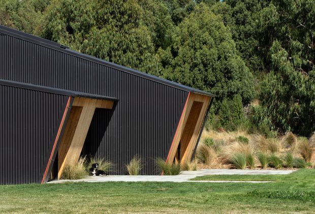 Exterior view of a striking modern building set against dense bushland. The facade is clad in vertically ribbed dark metal, with dramatic angled timber-framed openings edged in red-orange trim. Ornamental grasses and a broad lawn occupy the foreground, reinforcing the low-impact, landscape-integrated setting.