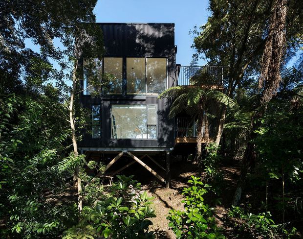 A compact, multi-level dark-clad building elevated on timber posts within dense, mature forest. Large glazed openings face the camera, with a small upper terrace or balcony and a lightweight, box-like form integrated among the trees.
