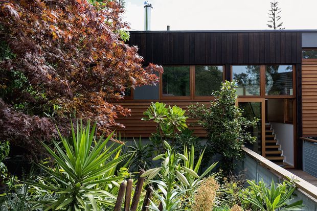 Exterior view of a contemporary multi-level home set within dense, established landscaping. The facade combines dark vertical cladding, warm horizontal timber cladding, and extensive timber-framed glazing. A partially enclosed stair and raised walkway lead into the building, with a metal flue visible above the roofline.