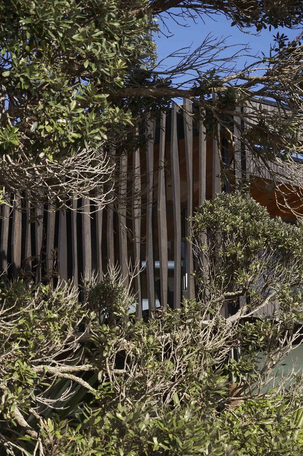 Exterior architectural view partially screened by dense trees and shrubs. The building features a contemporary facade with closely spaced vertical timber-toned slats, dark recessed glazing or openings, and a contrasting warm brown wall section. The image is strongly framed by landscaping, with a clear blue sky visible above.