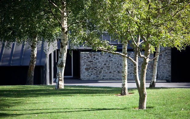 A contemporary low-profile building partially screened by a row of slender leafy trees. The facade combines dark vertical metal-clad forms with a prominent rough grey stone wall and dark recessed glazing or openings, set behind a manicured lawn.