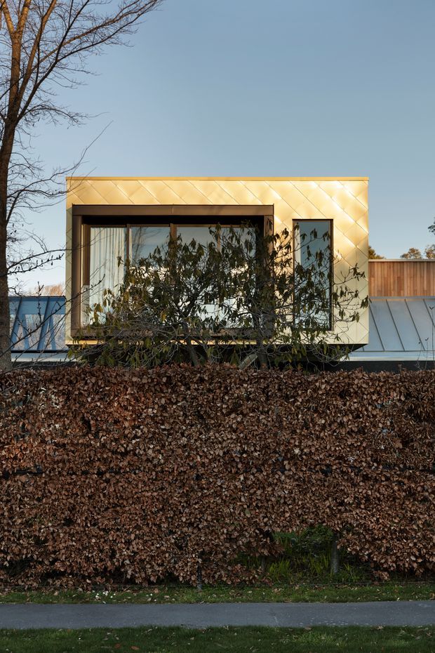 Exterior view of a compact contemporary building partially screened by a dense clipped hedge. The upper facade is clad in a warm metallic diamond-patterned finish and contains large dark-framed glazing, with adjacent timber screening and a sloping metal roof visible behind. A mature deciduous tree and clear sky frame the residential streetscape.