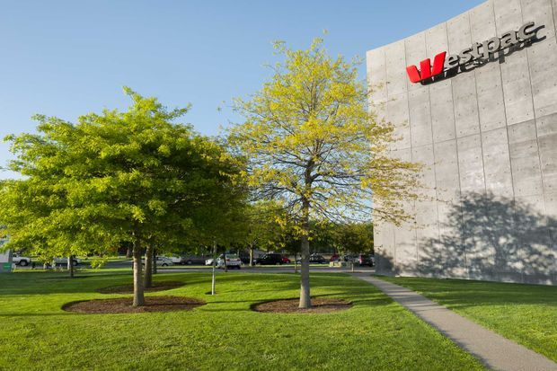 Exterior view of a contemporary commercial building with a large exposed concrete facade bearing a Westpac logo. A landscaped lawn with mature deciduous trees, mulched planting beds, and a paved pedestrian path occupies the foreground, with a car park visible behind the trees.