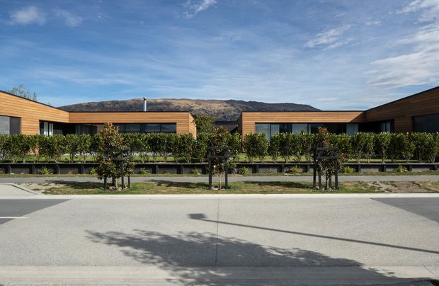 A contemporary low-rise residential development viewed from across a paved street. The buildings have long, low flat-roofed forms, warm horizontal timber-toned cladding, dark window frames, and landscaped front setbacks with hedges and young trees. A dry, rugged hillside is visible behind the development under a bright blue sky.