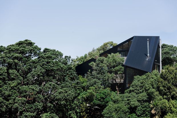 Exterior view of a dark, angular multi-level house partially concealed within dense mature greenery. The building has steep pitched roof planes with dark metal roofing, large areas of glazing, and a strongly contemporary geometric form set in a wooded landscape.